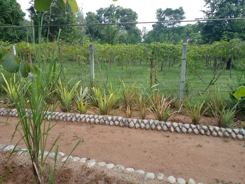 Santharpana Ayurveda Ashram, photo 9