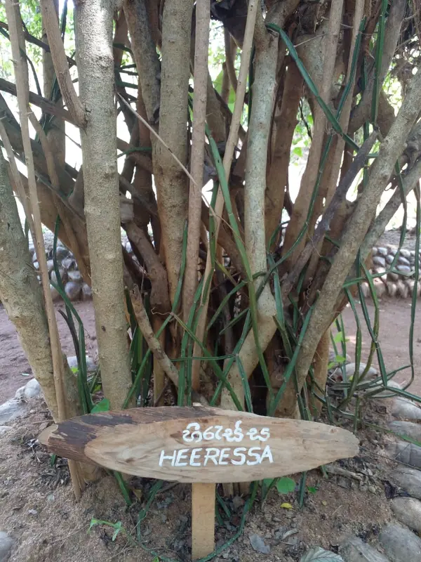 Santharpana Ayurveda Ashram, photo 1