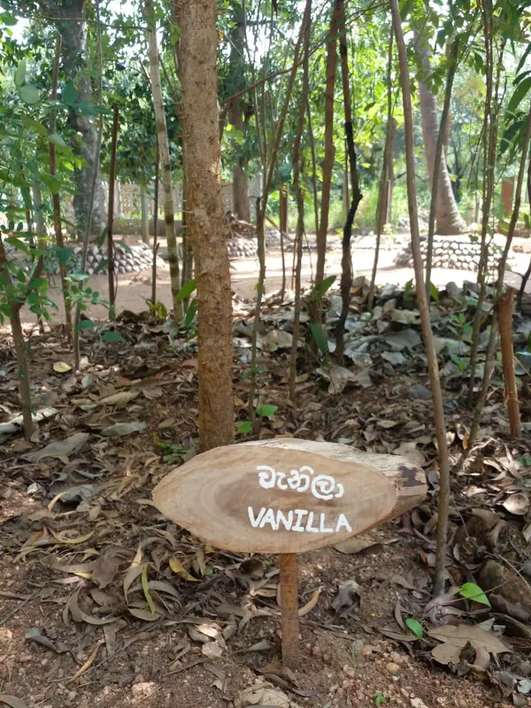 Santharpana Ayurveda Ashram, photo 3